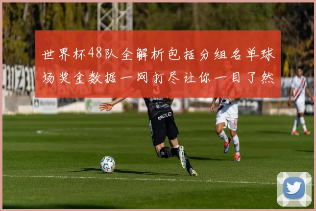 世界杯48队全解析包括分组名单球场奖金数据一网打尽让你一目了然