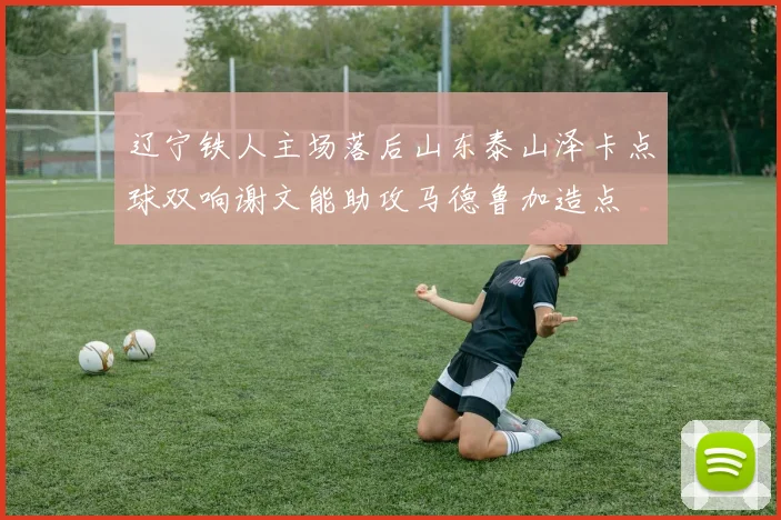 辽宁铁人主场落后山东泰山泽卡点球双响谢文能助攻马德鲁加造点
